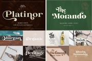 The Elegant Serif Font Bundle