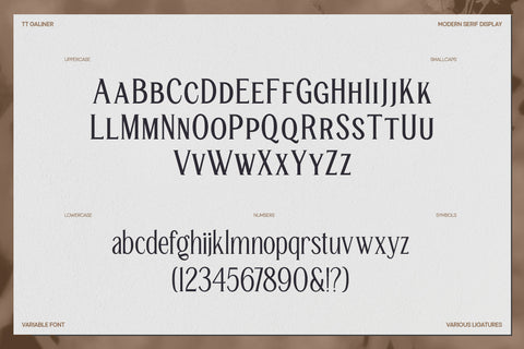 TT Galiner – Timeless Elegance Serif