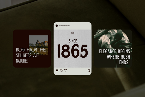 TRT Bird of Feather – Elegant Serif Typeface