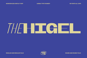 Banigar - Modern Display (84 Fonts)