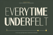TT Remora – Modern Sans Display