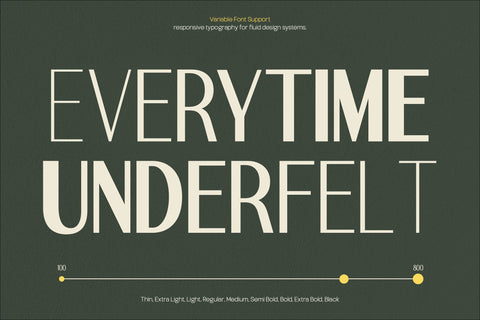 TT Remora – Modern Sans Display