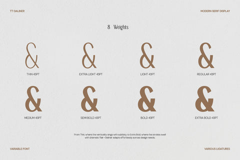 TT Galiner – Timeless Elegance Serif