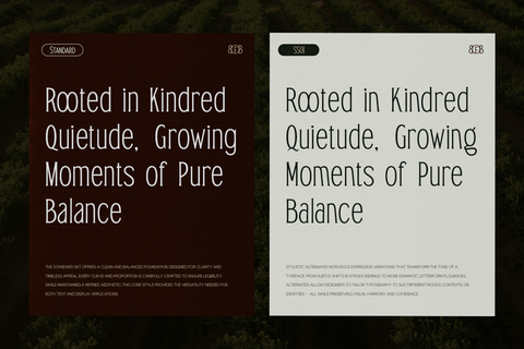 TRT Bird of Feather – Elegant Serif Typeface