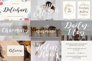 Script Font Collection Bundle