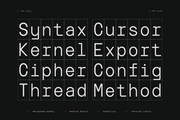 TRT Interval Mono Font