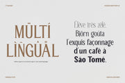 TT Galiner – Timeless Elegance Serif