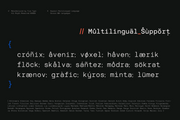 TRT Interval Mono Font