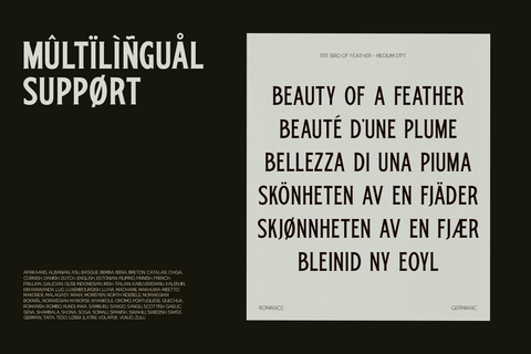 TRT Bird of Feather – Elegant Serif Typeface