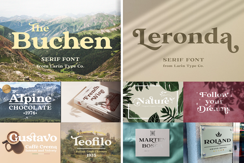 The Elegant Serif Font Bundle