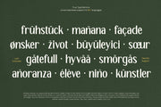 TT Remora – Modern Sans Display