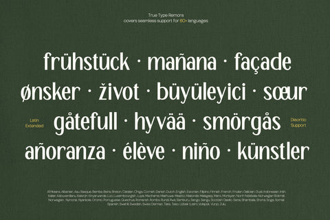 TT Remora – Modern Sans Display