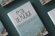 Reina Sofia - Vintage Display Serif - Pixel Surplus
