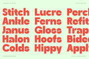 Ingrafts - Bold & Funky Font - Pixel Surplus