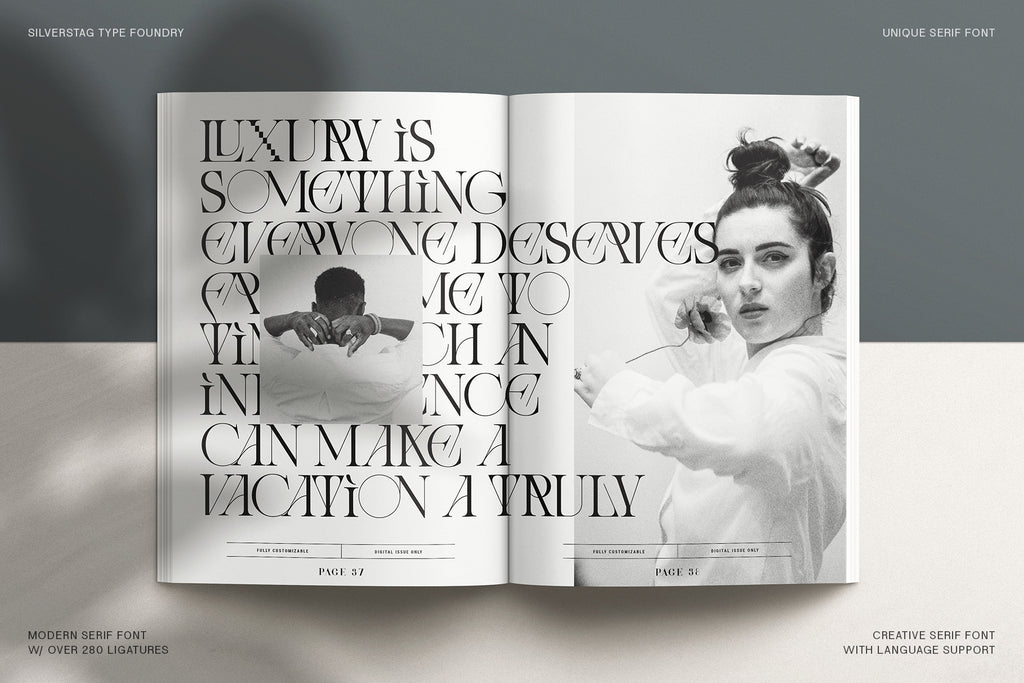 Amelie Fierce - Display Serif Font - Pixel Surplus