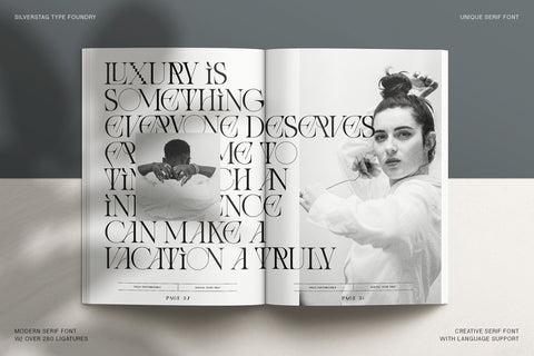 Amelie Fierce - Display Serif Font - Pixel Surplus