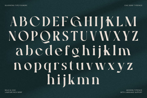 Gallica - A Powerful Ligature Serif