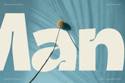 Ingrafts - Bold & Funky Font - Pixel Surplus