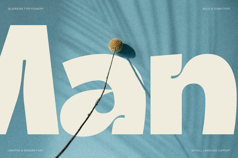 Ingrafts - Bold & Funky Font - Pixel Surplus