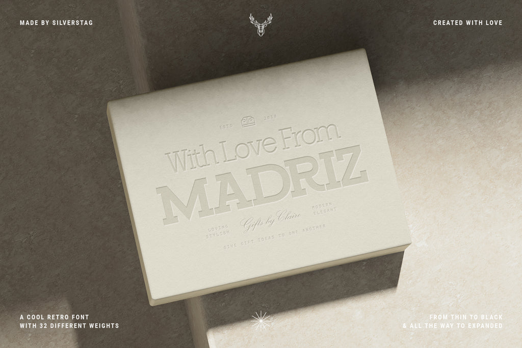 Madriz - Retro Slab Serif Typeface - Pixel Surplus
