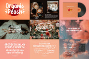 Unique & Fun Display Font Bundle