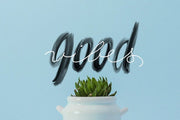The SVG Fonts Display Bundle
