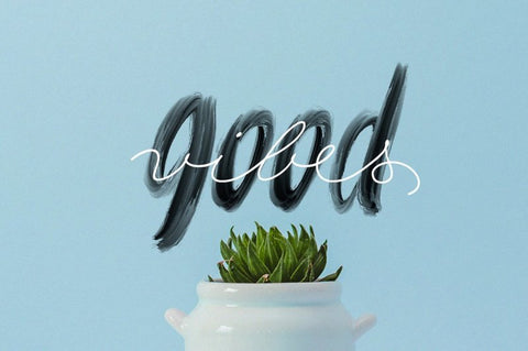 The SVG Fonts Display Bundle