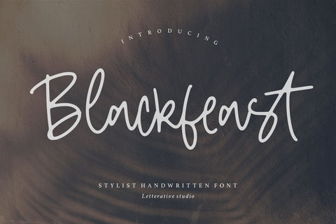 Blackfeast is a Stylist Handwritten Font