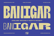 Banigar - Modern Display (84 Fonts)