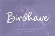 Birdhave is a Modern Monoline Handwritten Font