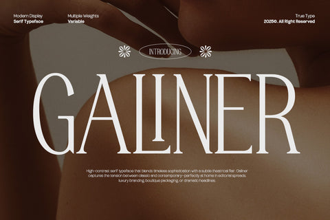 TT Galiner – Timeless Elegance Serif