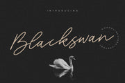 Blackswan is a Monoline Signature Font