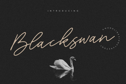 Blackswan is a Monoline Signature Font