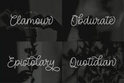 The Elegant Script Font Bundle