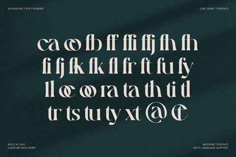 Gallica - A Powerful Ligature Serif