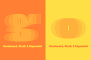 UNCMMN FONT BUNDLE - 52 Premium Fonts