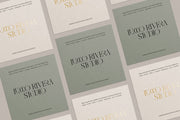 Amelie Fierce - Display Serif Font - Pixel Surplus