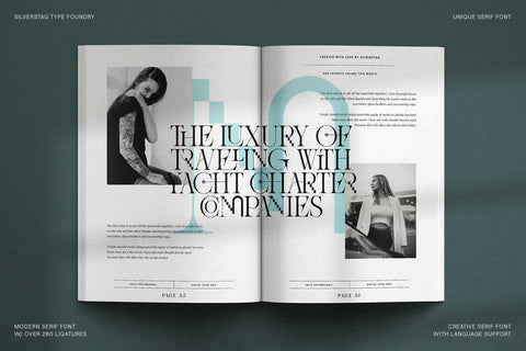 Amelie Fierce - Display Serif Font - Pixel Surplus