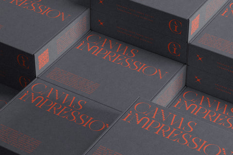 Amelie Fierce - Display Serif Font - Pixel Surplus