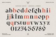 French Voyager - Chic Ligature Serif