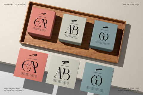 Amelie Fierce - Display Serif Font - Pixel Surplus