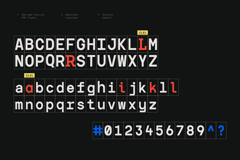TRT Interval Mono Font