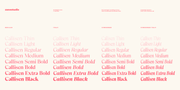 Callisen – Modern & Stylish Serif Font Family