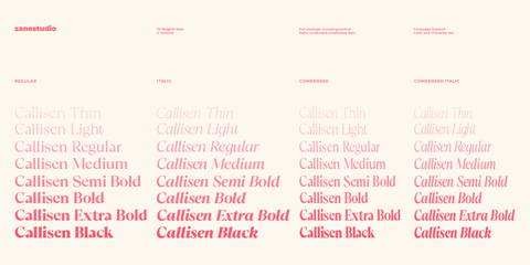 Callisen – Modern & Stylish Serif Font Family