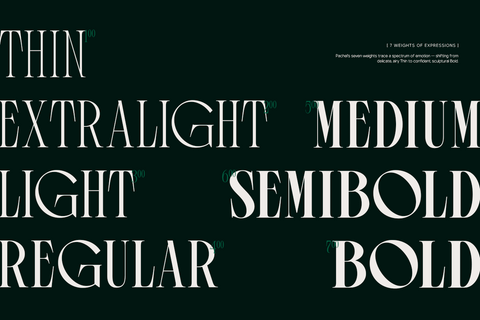 TRT Pachel – Luxury Editorial Serif Font