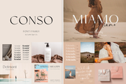The Bestseller Sans Serif Bundle