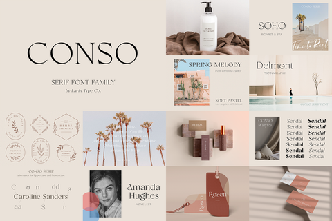 The Elegant Serif Font Bundle