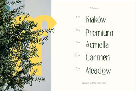 TT Remora – Modern Sans Display