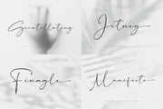The Elegant Script Font Bundle