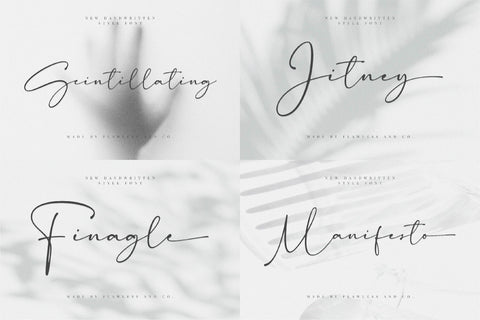 The Elegant Script Font Bundle
